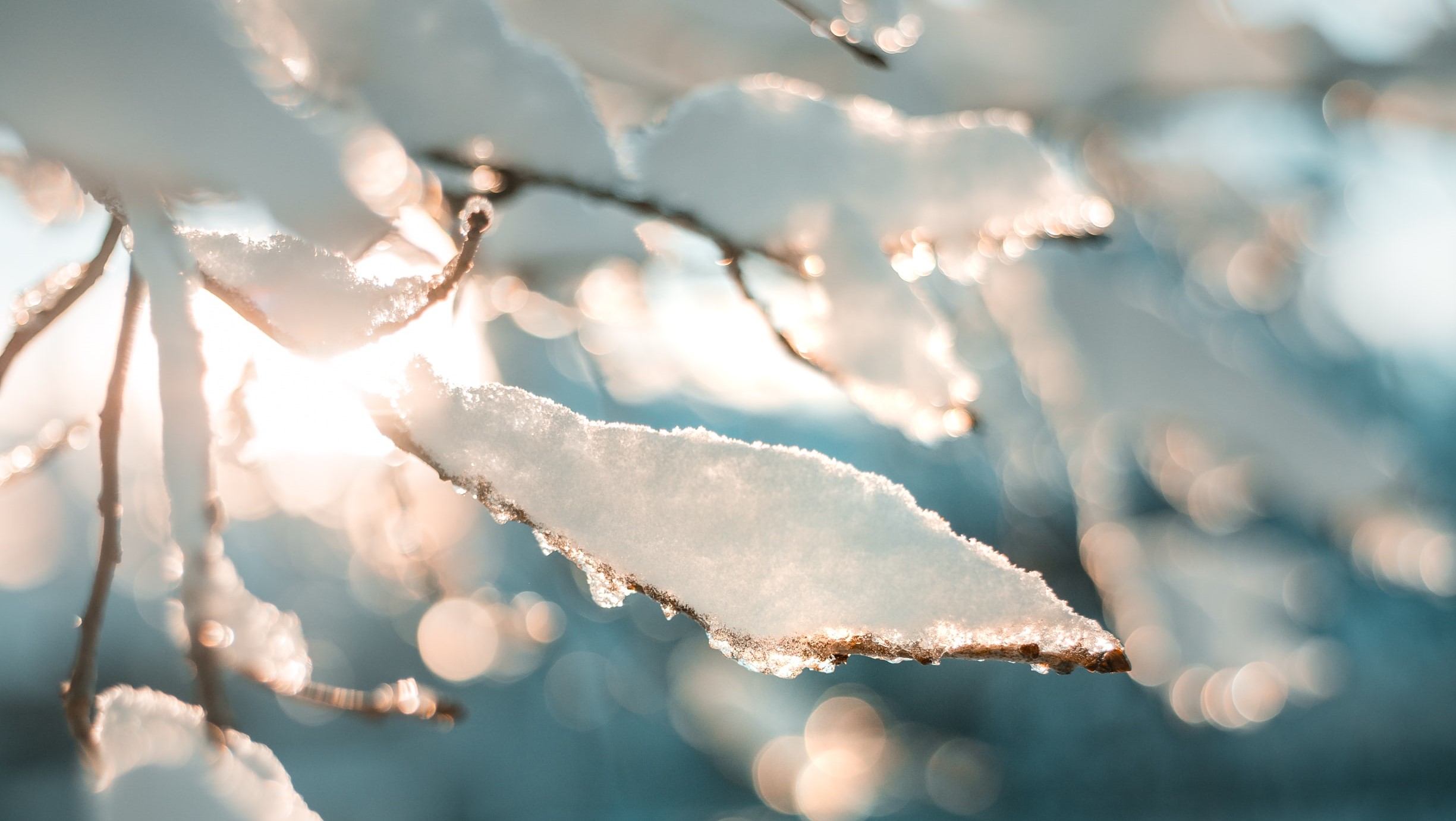 Winter’s Digression Album Release